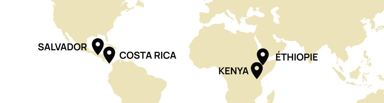 Origine Ethiopie, Costa Rica, Kenya, Salvador